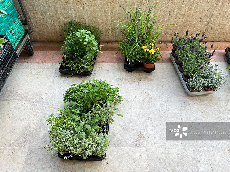 里斯本市场的幕后花絮图片素材