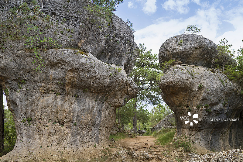 迷人的城市自然公园图片素材