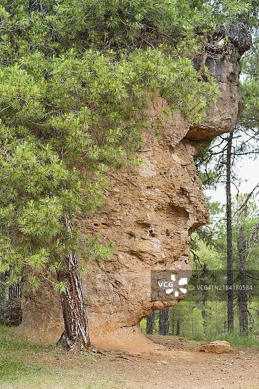 迷人的城市自然公园图片素材