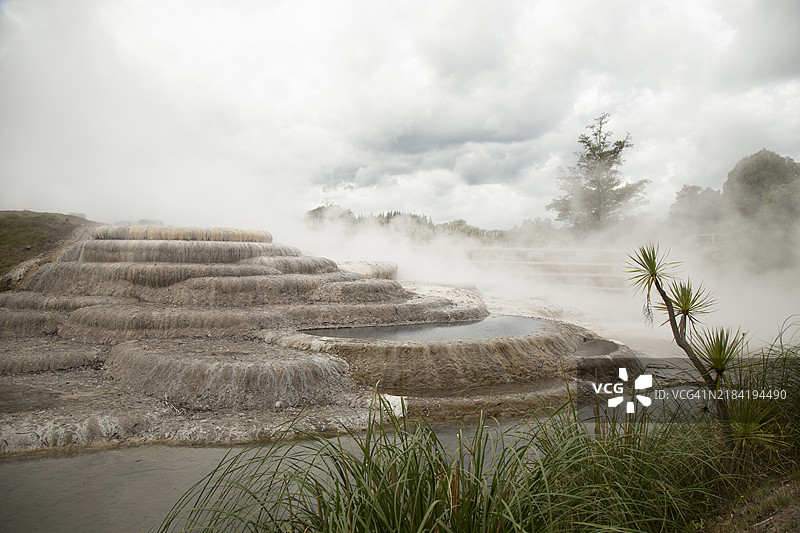 温泉的层叠梯田，蒸汽在多云的天空中升起，周围环绕着绿色植被，位于新西兰的怀瑞凯。图片素材