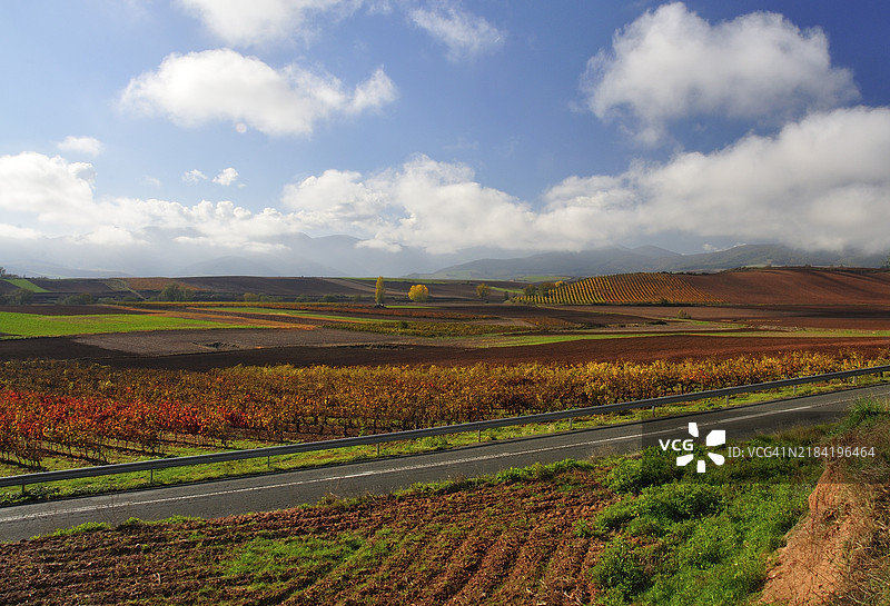 西班牙拉里奥哈的巴达兰葡萄园，秋季景色图片素材