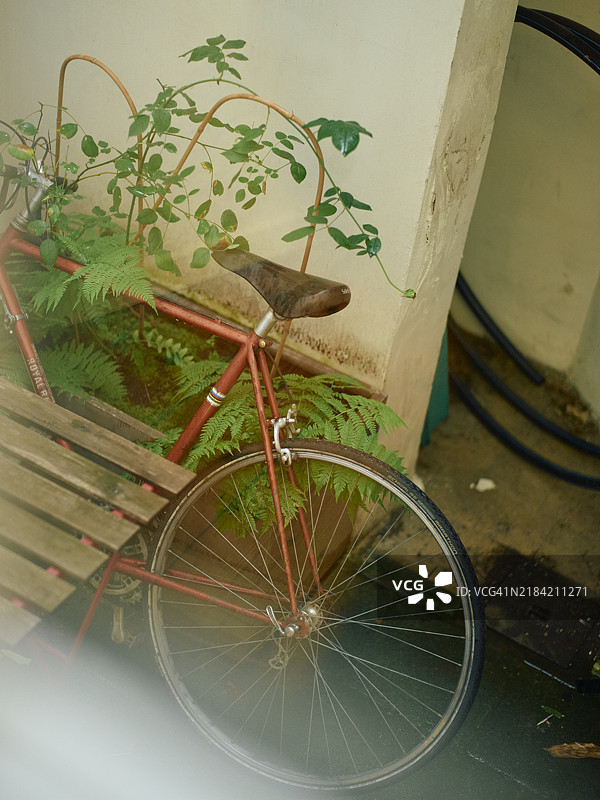 一辆旧红色自行车靠在褪色的墙上，旁边有绿色的叶子植物部分遮挡。图片素材