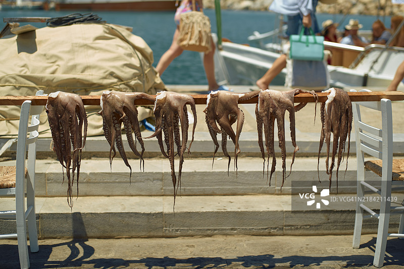 几只章鱼挂在海边的木栅栏上晾干，背景有船只和人们。图片素材