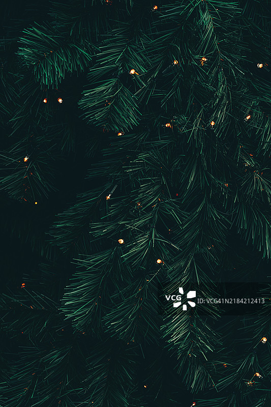 节日松枝与闪烁的灯光图片素材