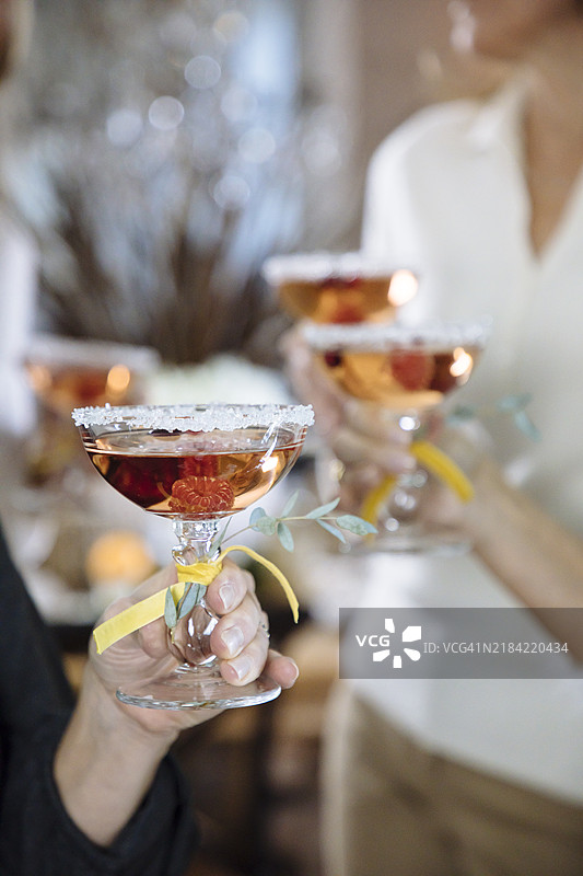 感恩节晚餐与朋友们，朋友聚会图片素材