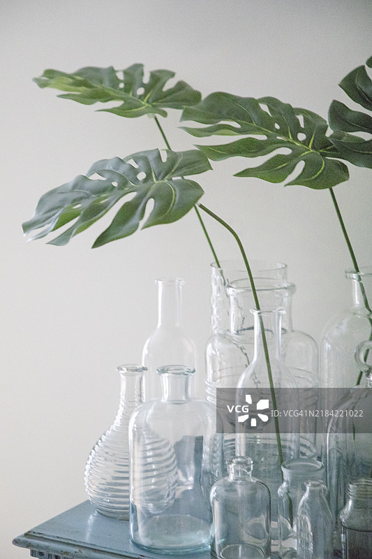 感恩节晚餐与朋友们，朋友聚会图片素材