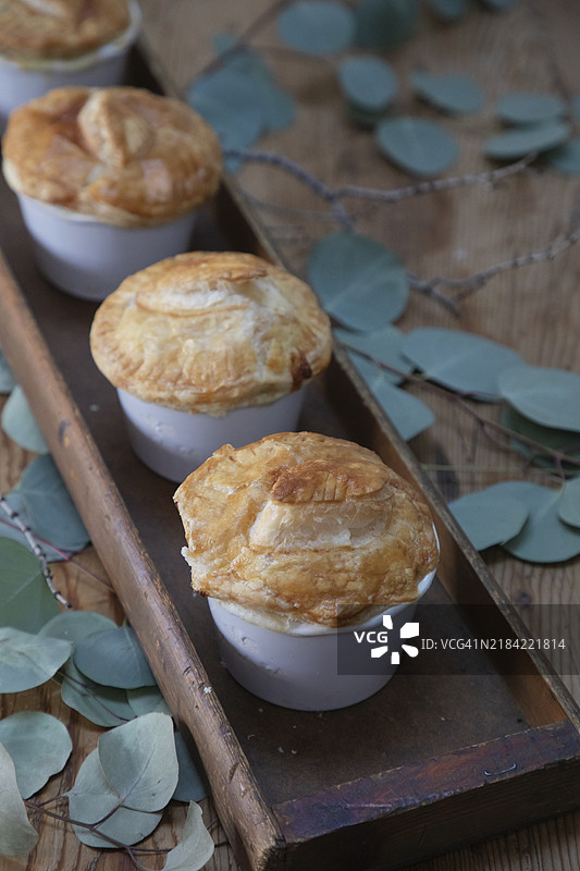 感恩节晚餐与朋友们，朋友聚会图片素材