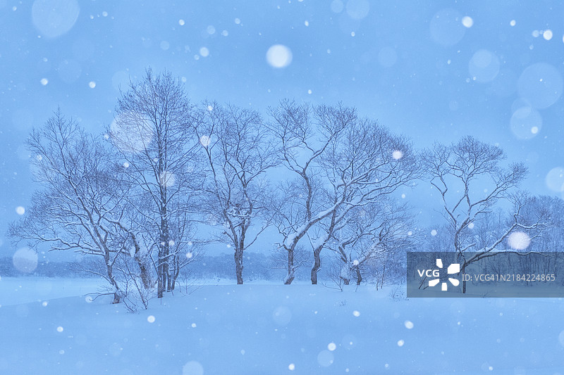 乌兰大野冬季风光图片素材