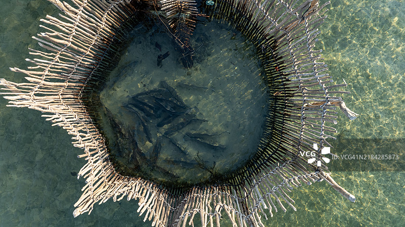 从正上方俯瞰科西湾河口和夸祖鲁-纳塔尔省马普塔兰地区的传统古老编织鱼网，特写镜头。鱼网中有国王鲭鱼。图片素材