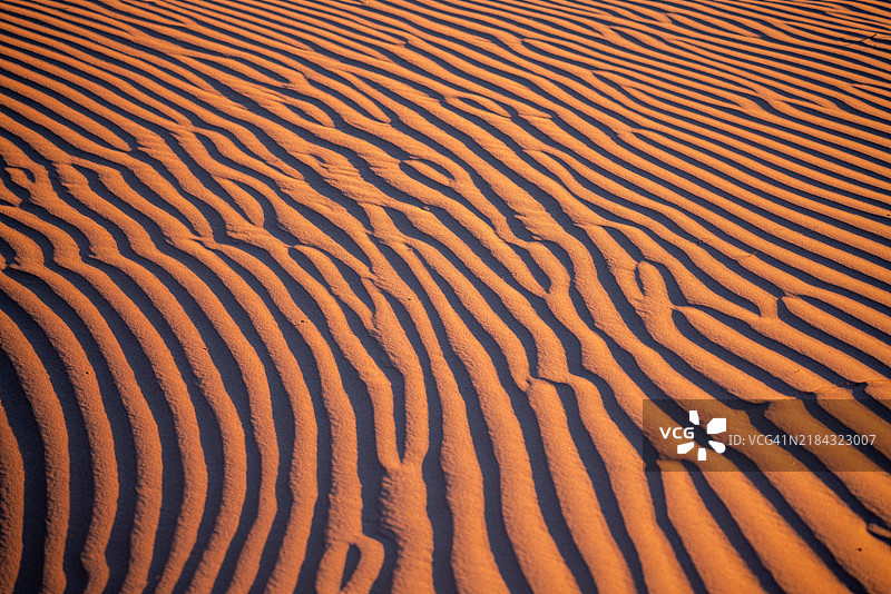 撒哈拉沙漠原始沙丘的纹理图片素材