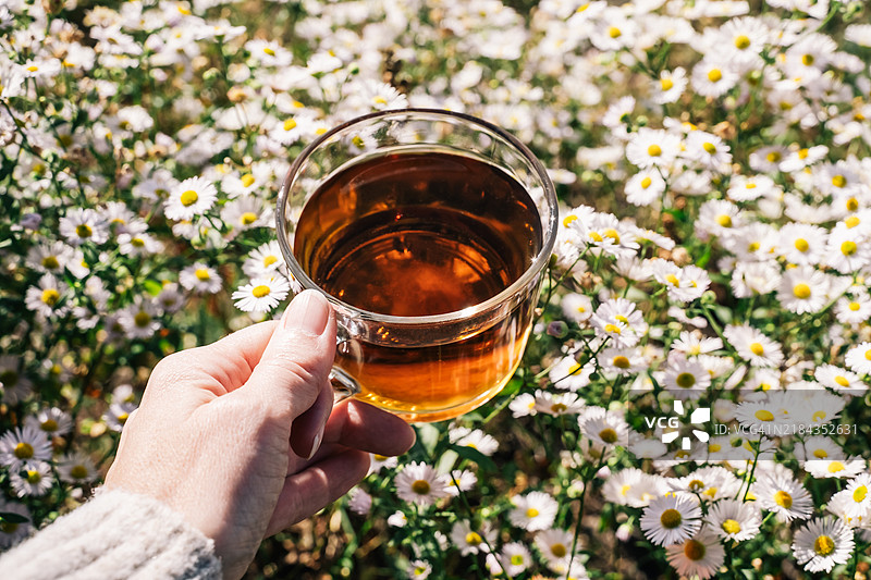 透明玻璃茶杯与雏菊背景图片素材