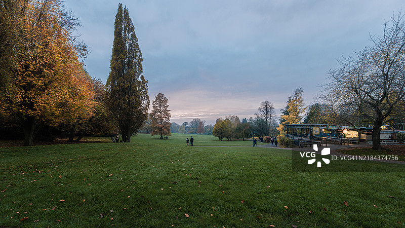 深秋的日落。图片素材