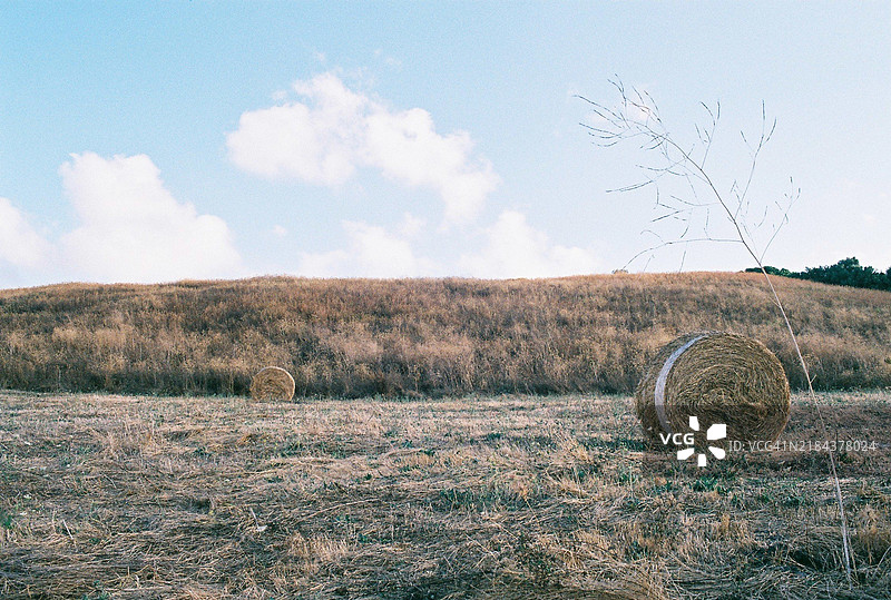 田野与天空的美丽景色图片素材