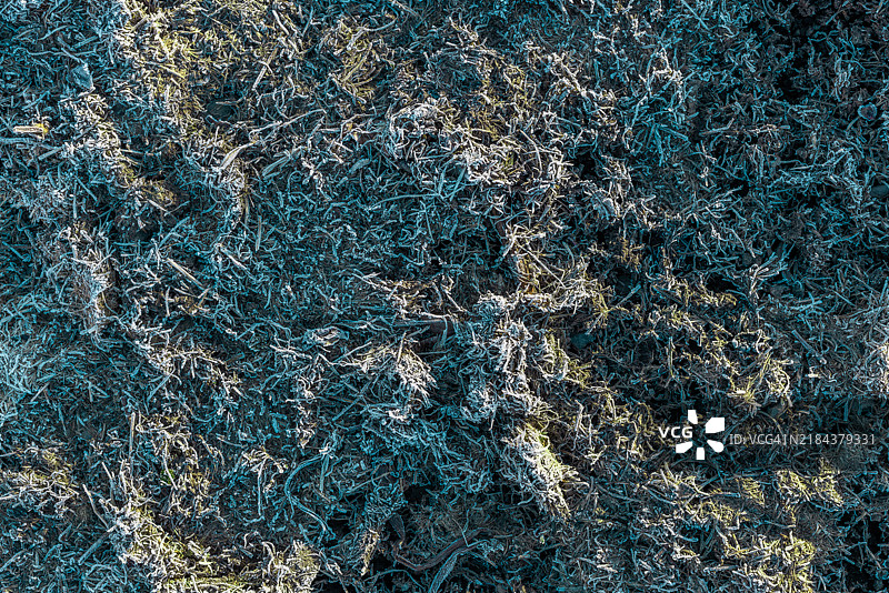 去年的枯草上覆盖着霜冻图片素材