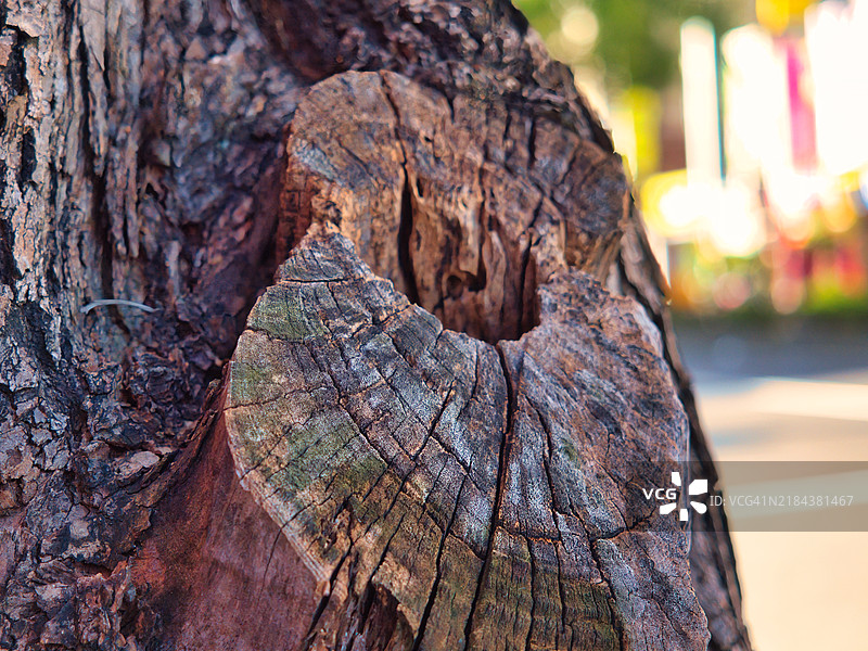 木材特写图片素材