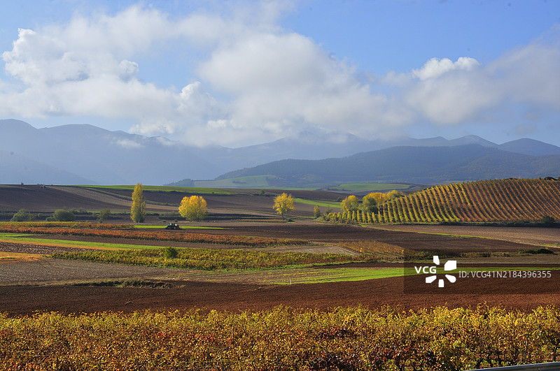 秋天的巴达兰田野图片素材