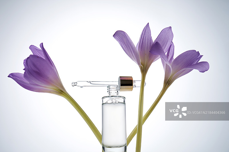带有滴管的药水瓶，背景为浅色，旁边有紫色花朵图片素材