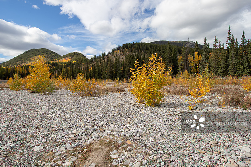 秋天的山中干涸河床，布拉格溪，阿尔伯塔省，加拿大图片素材
