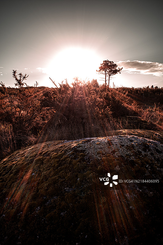 日落时分，天空映衬下的田野美景图片素材