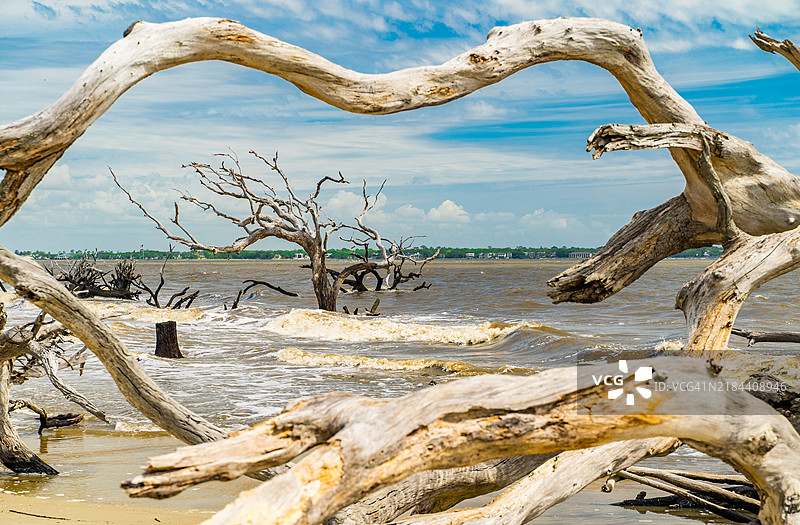 杰基尔岛，乔治亚州，海滩上的漂流木与天空的景色图片素材
