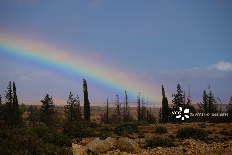 摩洛哥伊夫兰的树木上空的彩虹美景图片素材