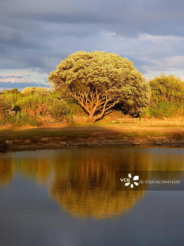 法国卢瓦尔河地区勒克鲁瓦西克的湿地风景图片素材