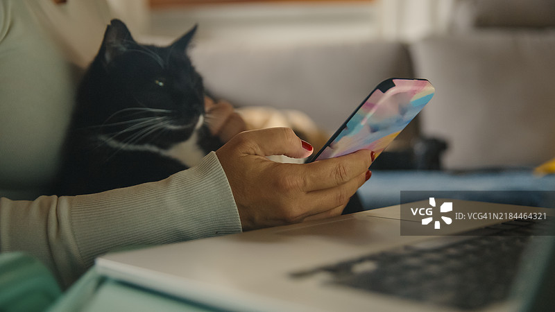 享受与我的黑白猫的陪伴。白人女商人在家中与宠物和科技多任务处理。图片素材
