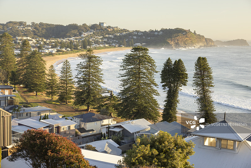 日出时分俯瞰阿沃卡海滩的房屋屋顶。新南威尔士州，澳大利亚。图片素材