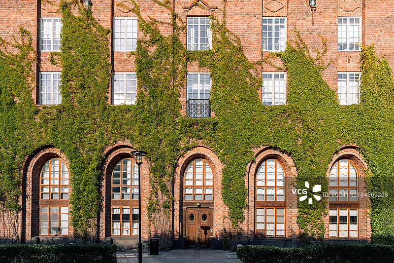 瑞典斯德哥尔摩市政厅建筑上的常春藤图片素材