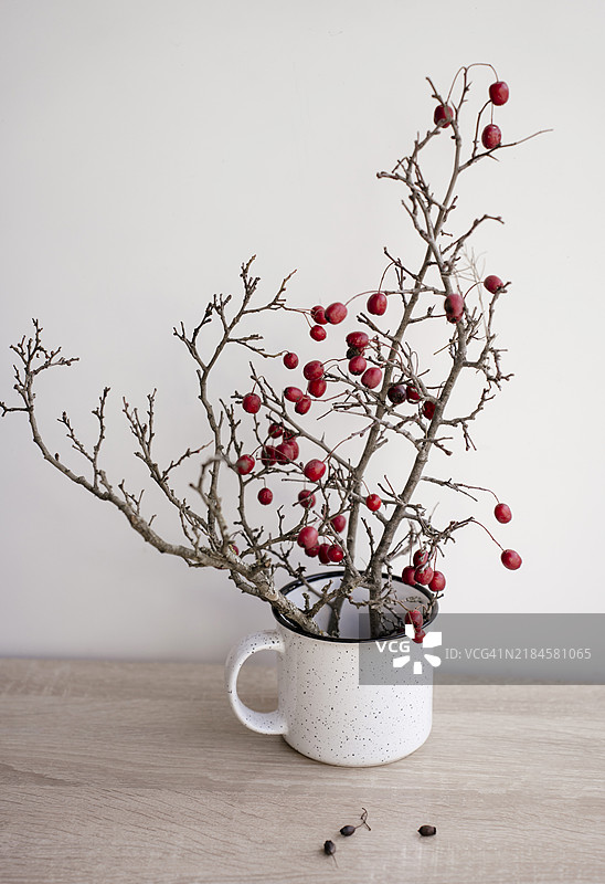用树枝和红色浆果制作的圣诞家居装饰，零浪费、自然、可持续的极简主义冬季节日饰品。树枝放在家中白色墙壁前的花瓶里。图片素材