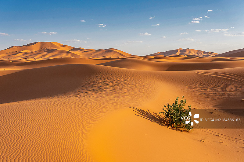 摩洛哥梅尔祖卡的沙漠与天空的景观图片素材