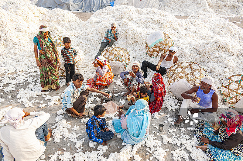 印度，棉花工厂图片素材
