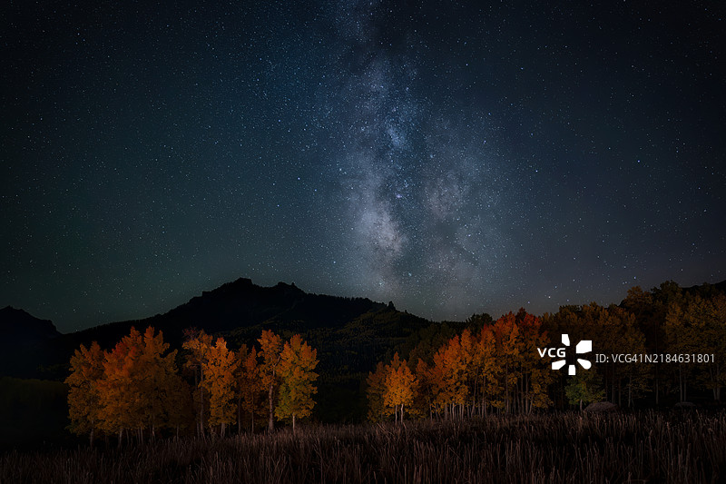 科罗拉多州圣胡安山脉上，秋季白杨树下的银河图片素材
