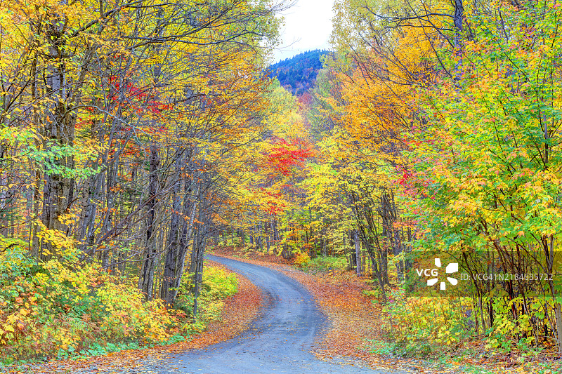 缅因州格林维尔的秋天图片素材