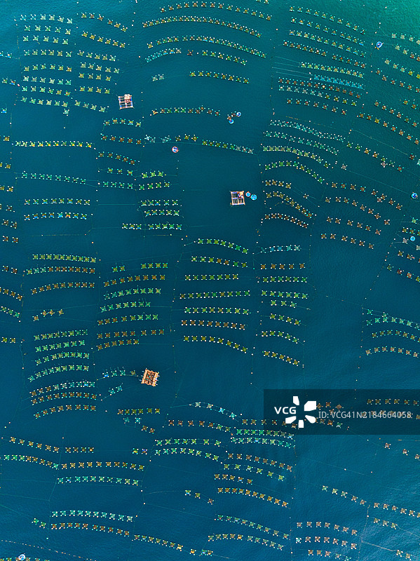 红岩海滩的龙虾养殖场图片素材