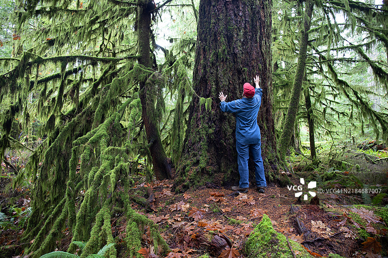 温带雨林，成熟男性图片素材