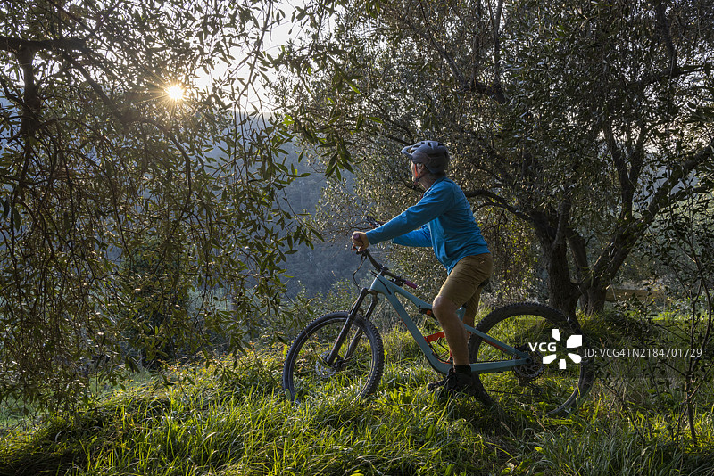 的山地自行车手在橄榄树林中日出时暂停。图片素材