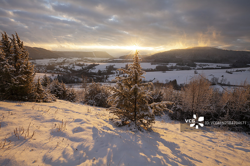 施瓦比亚阿尔卑斯山附近的嫩宁根圣诞谷中的圣诞树与太阳星。冬季风景中的圣诞树。图片素材