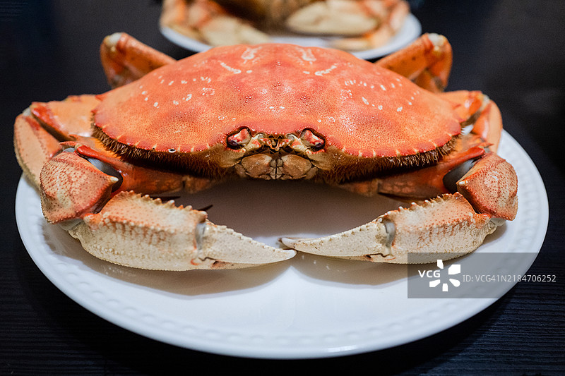 熟制的丹吉尼斯蟹图片素材