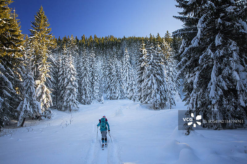 冬季日出时在山林中进行滑雪旅行的上升图片素材