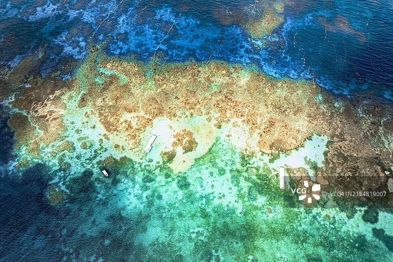 加勒比海清澈水域中的珊瑚礁图片素材