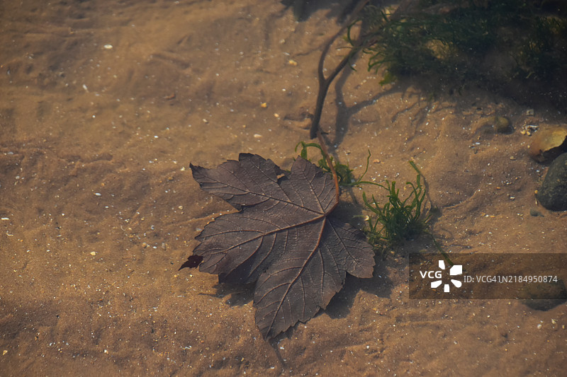 被潮水遗弃在德里格海滩图片素材