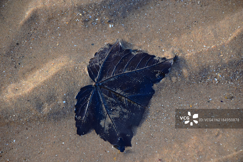 被潮水遗弃在德里格海滩图片素材