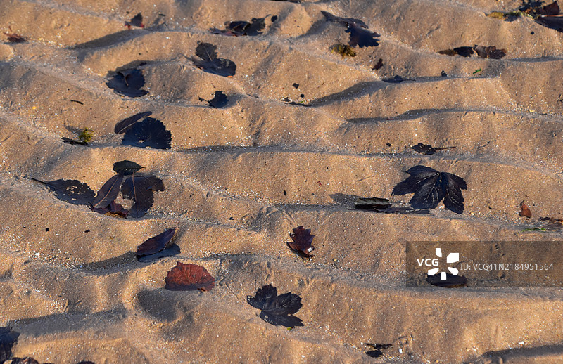 被潮水遗弃在德里格海滩图片素材