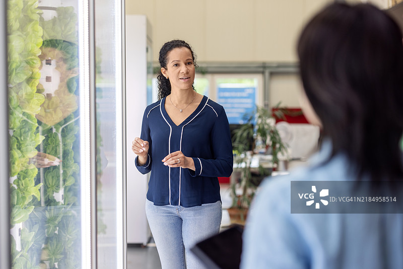 农业专家向同事解释气雾栽培垂直农业系统图片素材