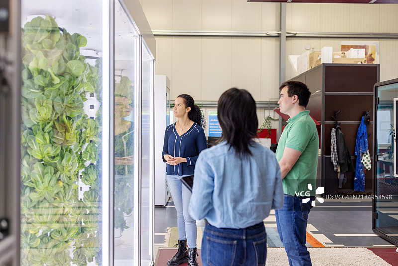 农业专家在垂直农场向团队讲解气雾栽培系统图片素材