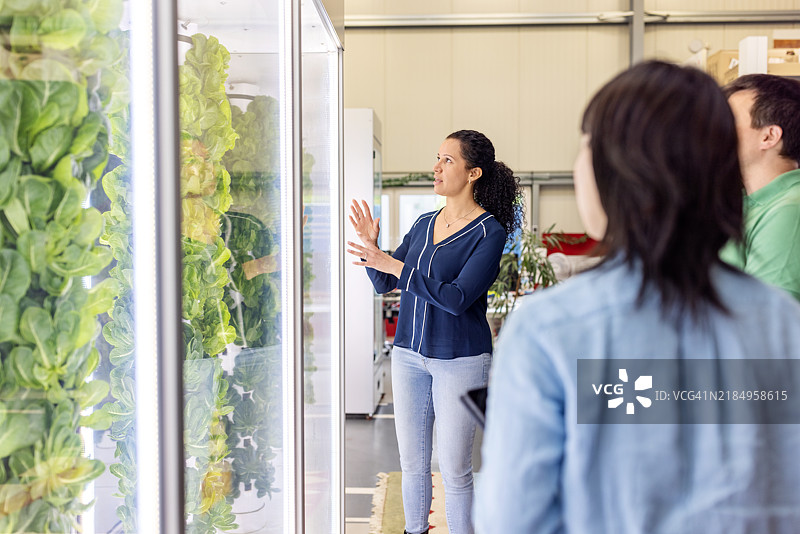 农业专家向团队讲解气雾栽培系统图片素材