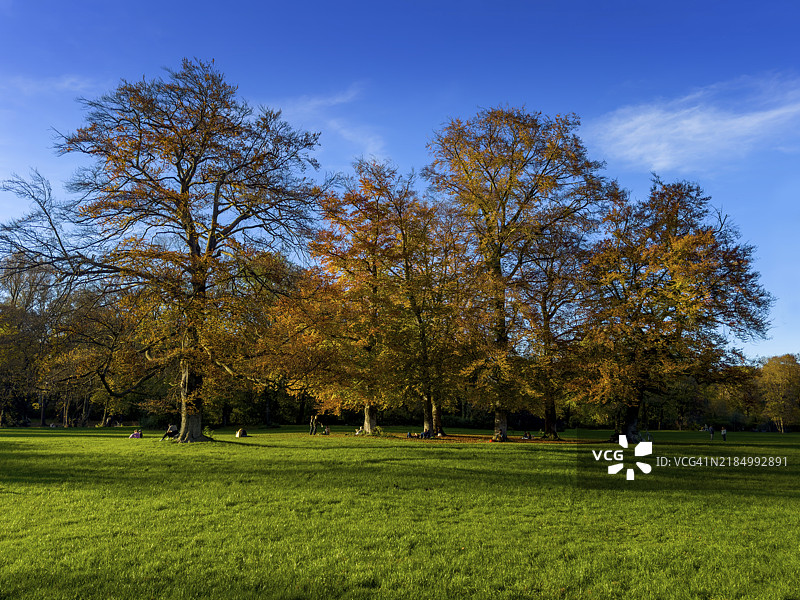 德国巴伐利亚慕尼黑英式花园的秋季氛围图片素材