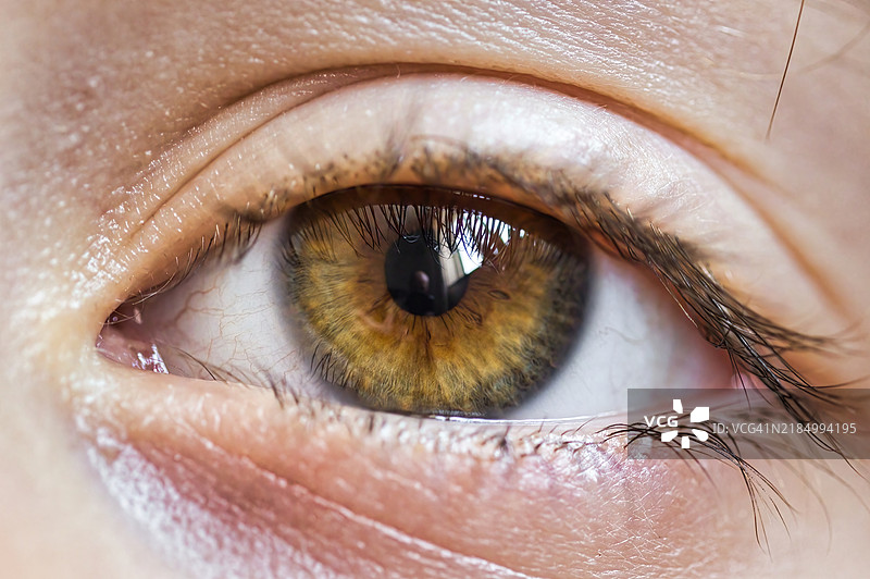 极端微距特写的人眼，瞳孔周围有浅棕色和橄榄绿色的光泽虹膜，窗户反射的光线直接看向镜头，美国，USA图片素材