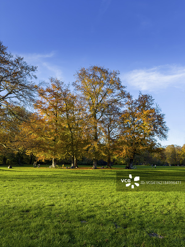 德国巴伐利亚慕尼黑英式花园的秋季氛围图片素材